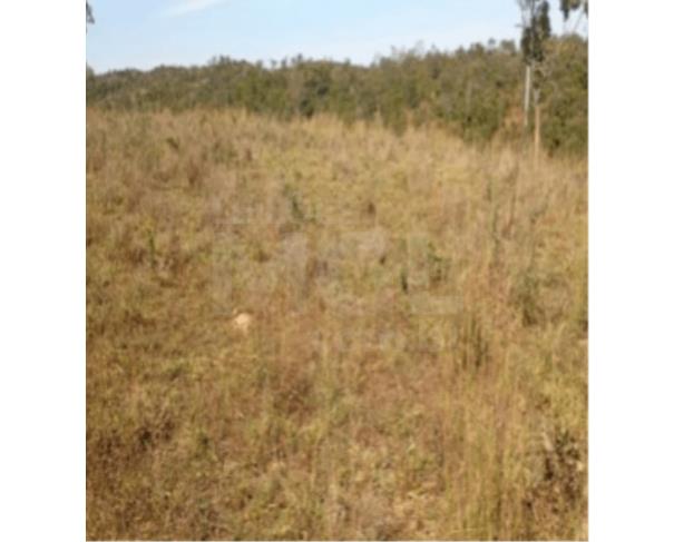 Foto de UNAÍ/MG – Fazenda com a área de 4,58,85ha, denominada Fazenda Boa Vista – Parte 2