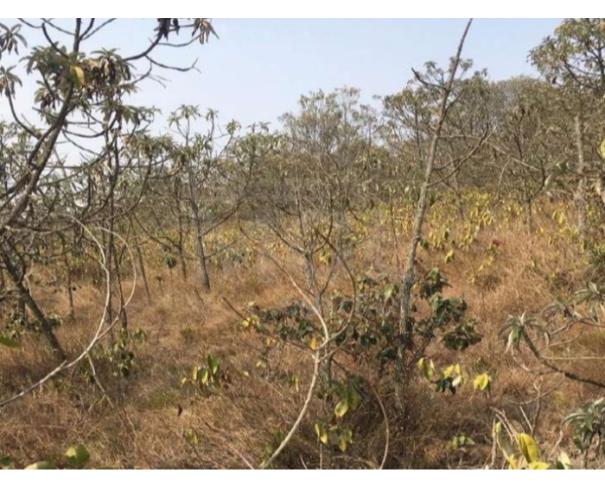 Foto de SÃO THOMÉ DAS LETRAS/MG — Terreno Rural com 20,83,00 hectares na "Serra do Pião" 