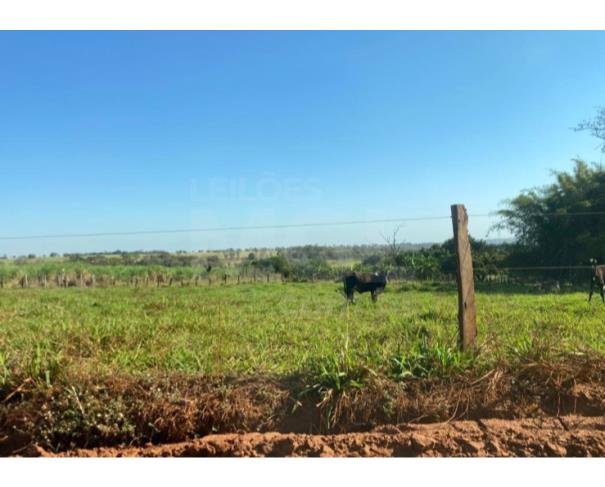Foto de ITAPAGIPE/MG – Terreno Rural com 10.55.14 hectares na Fazenda Moeda ou Moeda de Cima