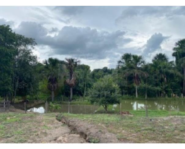 Vila nova dos martírios/uma gleba de terras com área de 10.87,90ha lote em leilão | mgl leilões