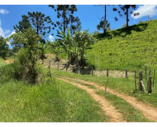 Foto de SAPUCAÍ -MIRIM/MG — Fazenda com 140.07.02 hectares no Paiolzinho ou Santa Luzia 