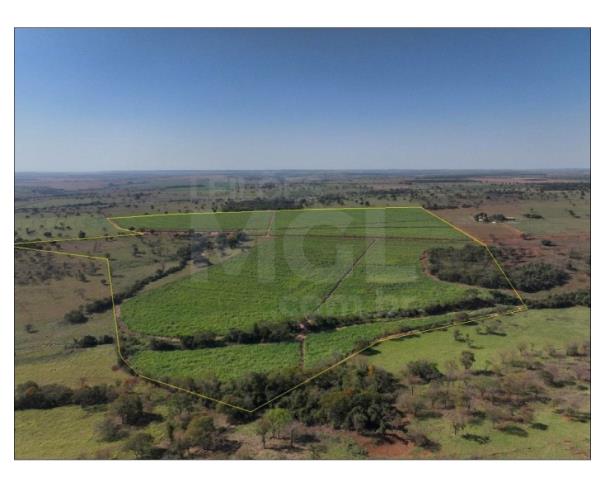 Foto de ITAPAGIPE/MG – Terreno Rural com 10.55.14 hectares na Fazenda Moeda ou Moeda de Cima