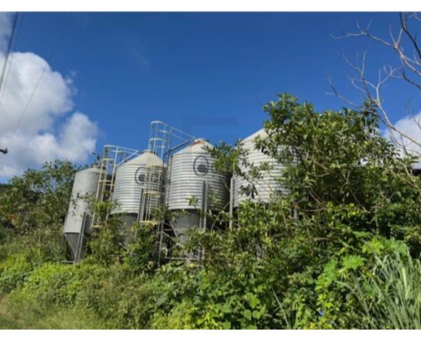Foto de ORATÓRIOS/MG - Silo para armazenagem de grãos, marca CASP, capacidade de 54 toneladas