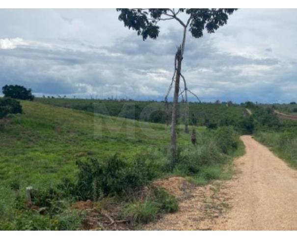 Foto de VILA NOVA DOS MARTÍRIOS/MA - FAZENDA SANTA MARIA PARTE 02 COM ÁREA DE 104,4522HA