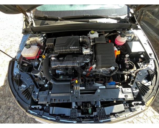 Foto de ITAÚNA/MG- BYD KING GS DM 2024/2025-  PA13041
