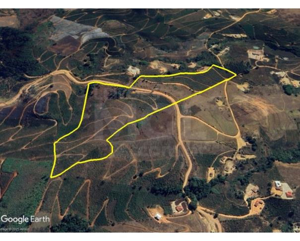 Foto de PEDRA BONITA/MG — Terreno rural com 12.25.00 hectares e plantação de café no Córrego do Belém