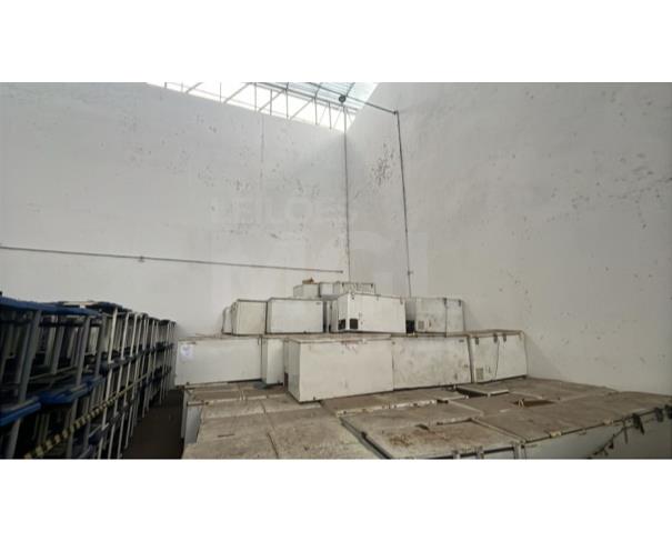 Foto de MANAUS/AM - FREEZER HORIZONTAL COM 2 TAMPAS