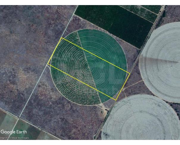 Foto de Jaíba/MG - Terreno Rural com 24.96 hectares no Projeto Jaíba - jb20244