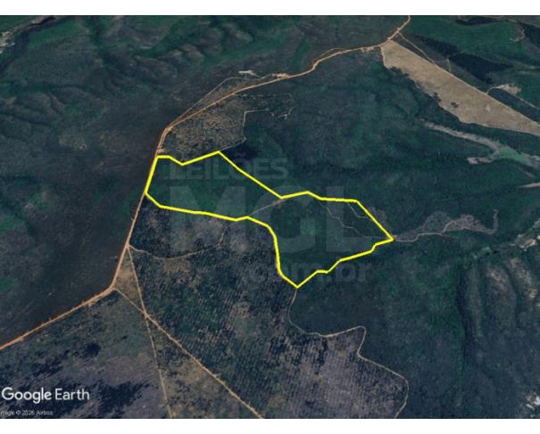 Rio pardo de minas/mg - imóvel rural área 34,8307 ha na