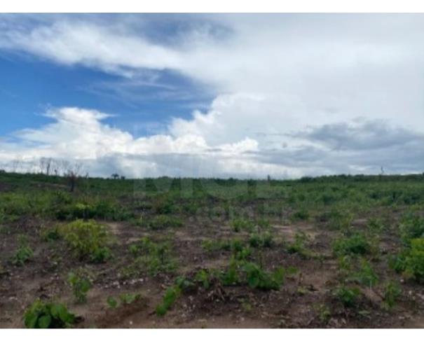 Foto de VILA NOVA DOS MARTÍRIOS/MA - FAZENDA SANTA MARIA PARTE 02 COM ÁREA DE 104,4522HA