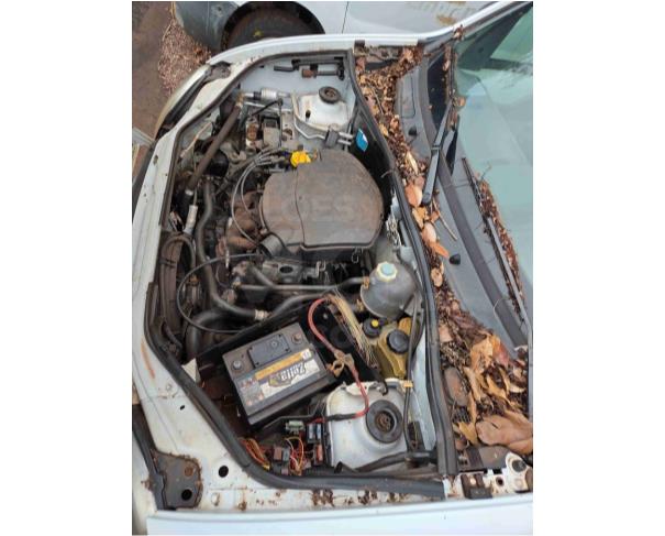 Foto de LONDRINA/PR - KANGOO RENAULT 1.6, 2001/2001