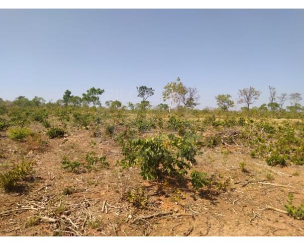 Foto de LUISLÂNDIA/MG - Fazenda com 92.00.33 hectares na Fazenda Macacos