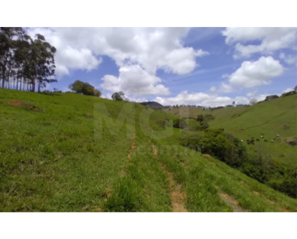 Foto de SERRA DO CAMAPUÃ/MG — Terreno Rural com 18.42.57 hectares no Pasto de Trás 