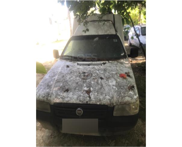 Foto de CRUZEIRO/SP - Fiat Fiorino Unividas Ambulância, 2010/2011, FLEX 