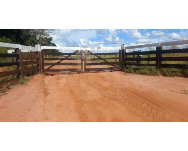 Foto de BRASNORTE/MT - Fazenda com 806,5369 hectares na Fazenda Jericó 