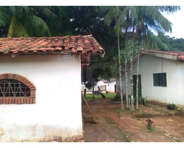 Foto de GUARANÉSIA/MG — Sítio com 7.200,00m² contendo 01 tanque para pesca no Santa Cruz da Barra
