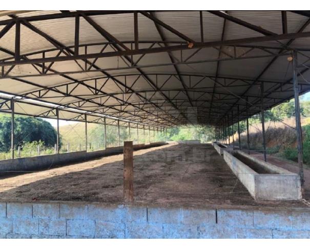 Foto de ALFENAS/MG - Estrutura metálica de dois barracões