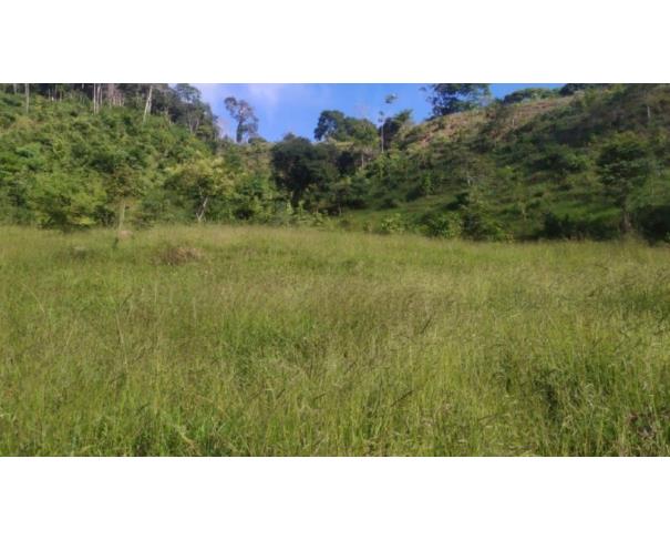Foto de RIO VERMELHO/MG TERRENO COM ÁREA DE 17,51,59HA 