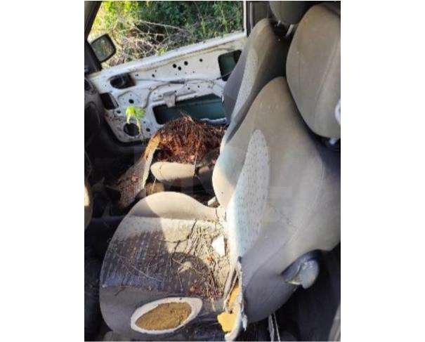 Foto de PORCIÚNCULA/RJ - Caminhonete Ford Courier l 1.6 Flex 2009/2009
