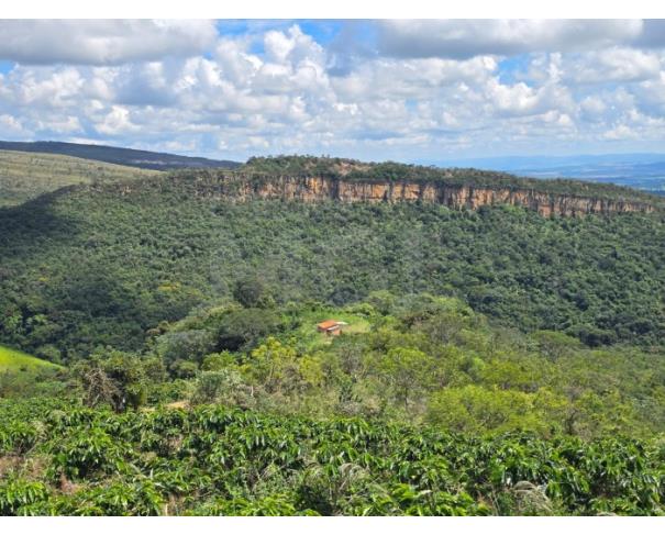 Foto de GUAPÉ/MG- FAZENDA BOQUEIRÃO