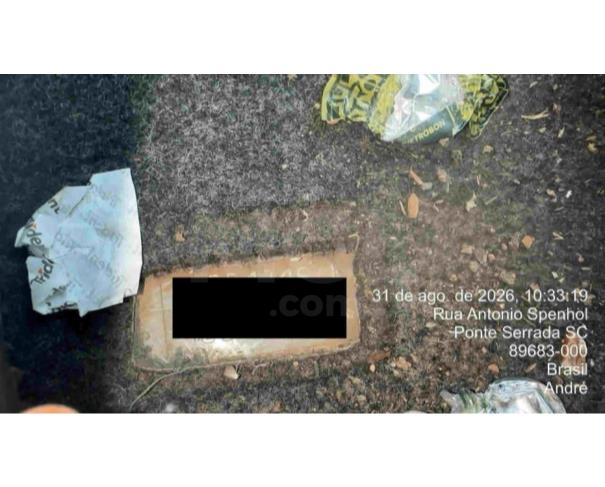 Foto de PONTE SERRADA/SC - Fiat/ Pálio Fire Economy, 2011/2012, FLEX 