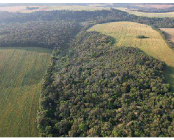 Foto de IVAÍ/PR — Terreno rural com 1.003.046,00m² no Faxinal do Cocho ou Faxinal da Forquilha