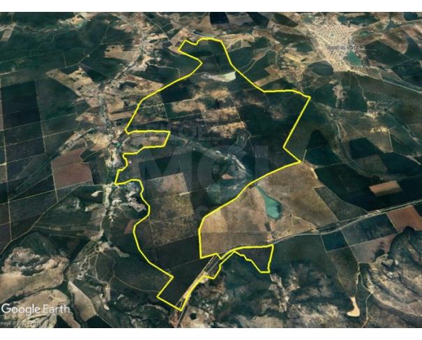 Foto de SALINAS/MG — Fazenda com 1537.13.92 hectares com plantio de madeira na Fazenda Carvovale Pinda Sal