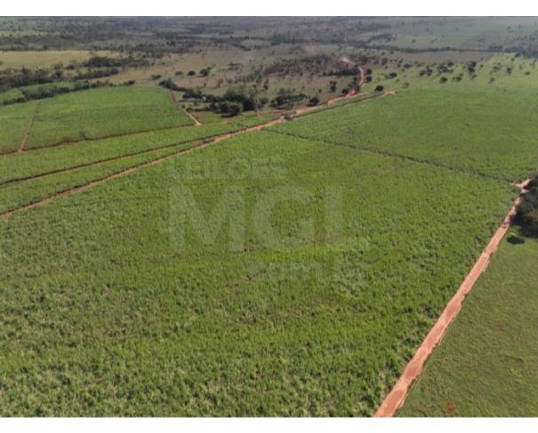 Foto de ITAPAGIPE/MG – Terreno Rural com 10.55.14 hectares na Fazenda Moeda ou Moeda de Cima
