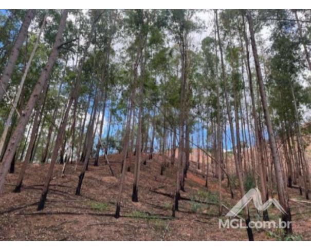 Foto de AMPARO DO SERRA/MG — Terreno rural com 10.89.00 hectares