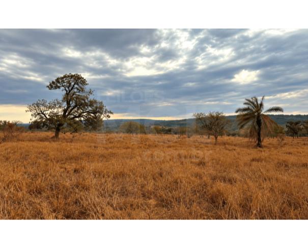 Foto de PARACATU/MG – Imóvel rural com a área de 49,76,36ha, denominada Fazenda Ouro Verde