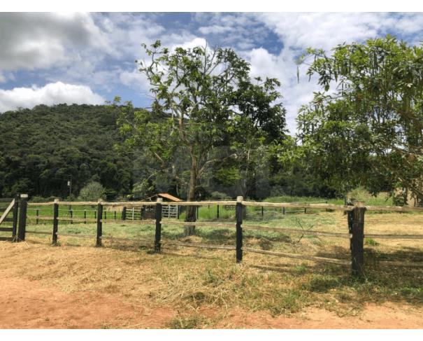 Foto de BOM JESUS DO GALHO/MG – Sítio com a área de 41,88,78ha², denominado Ribeirão do Galho