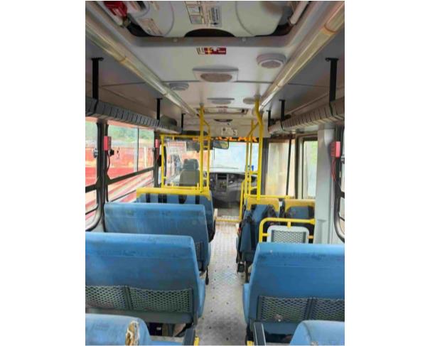 Foto de PEDRA DOURADA/MG - Ônibus Iveco Soulclass 70C17 HE, 2018/2019, DIESEL 