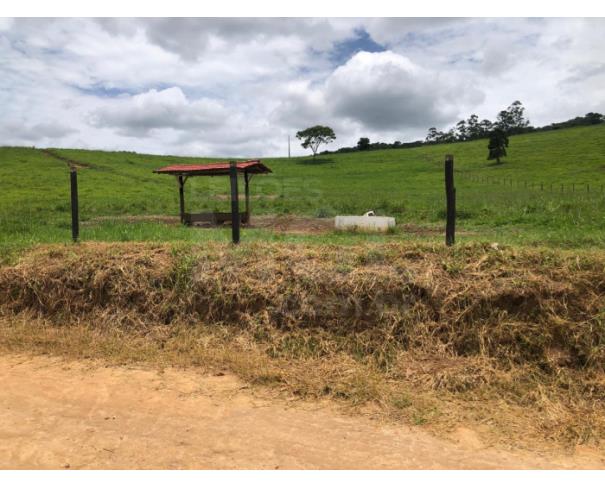 Foto de BOM JESUS DO GALHO/MG – Sítio com a área de 41,88,78ha², denominado Ribeirão do Galho