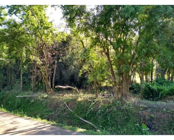Foto de SANTA TEREZA/RS - Terreno de 802m² da Linha José Julio