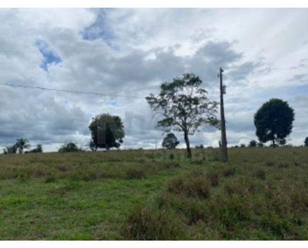 Foto de VILA NOVA DOS MARTÍRIOS/MA - UMA GLEBA DE TERRAS COM ÁREA DE 10.87,90HA