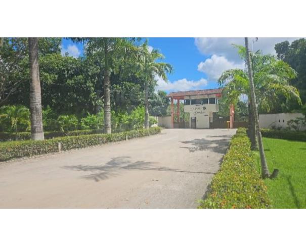 Foto de PAUDALHO/PE — Casa com 3 quartos (F1301700000375)
