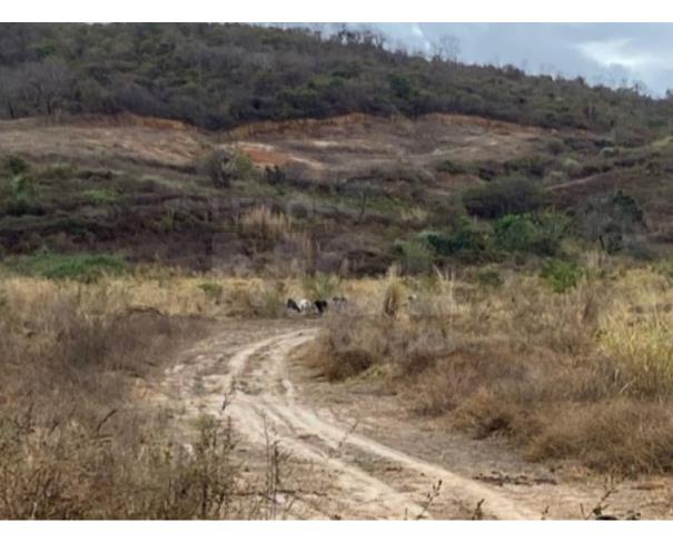 Foto de SALINAS/MG — Terreno com 33.62 hectares no Bela Vista 