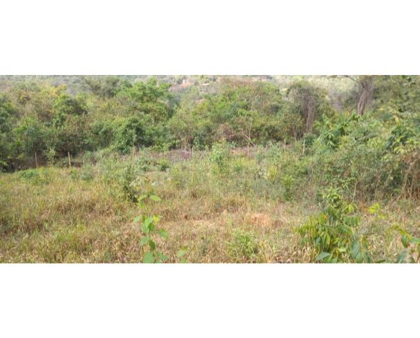 Foto de ESMERALDAS/MG — Lote com 1.350,00m² no Retiro das Esmeraldas