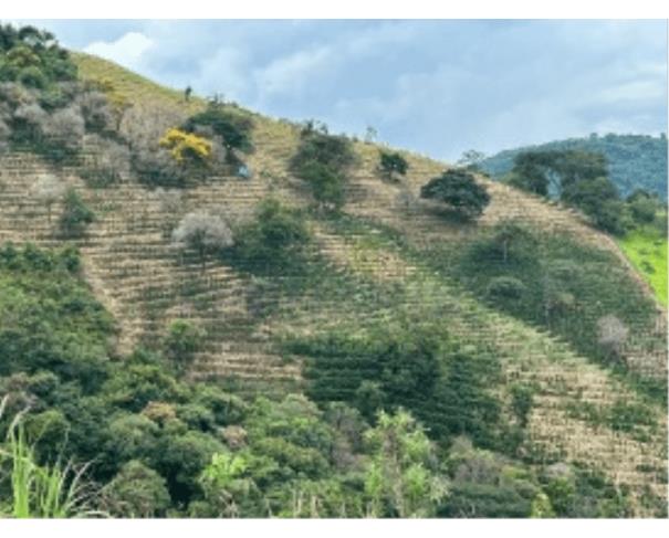Jacutinga/mg imóvel rural situado no bairro bocaiúva com área de 7,5405ha lote em leilão | mgl leilões