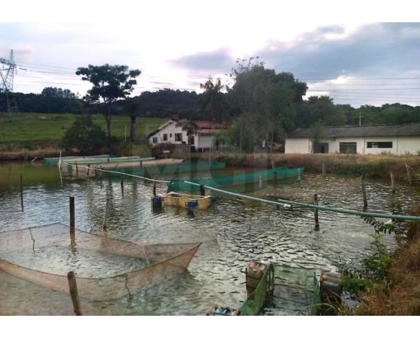 Foto de GUARANÉSIA/MG — Sítio com 7.200,00m² contendo 01 tanque para pesca no Santa Cruz da Barra