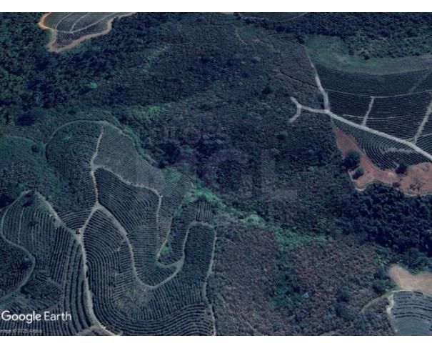 Foto de GUAXUPÉ/MG — Terreno rural com 18.30.40 hectares dentro de uma área maior no Passa Quatro 