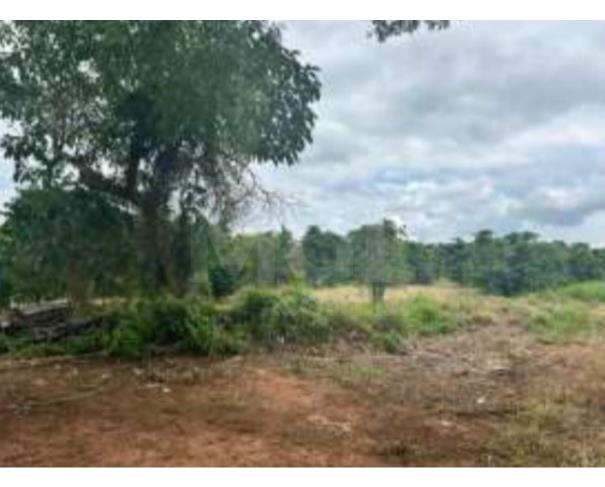 Foto de CAMPOS GERAIS/MG — Terreno Rural com 3.26.88 hectares no lugar denominado Palmeiras