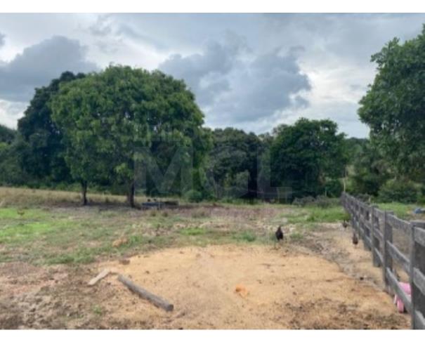 Foto de VILA NOVA DOS MARTÍRIOS/MA - UMA GLEBA DE TERRAS COM ÁREA DE 10.87,90HA