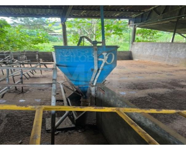 Foto de ORATÓRIOS/MG - 100 comedouros de suínos, capacidade 140 kg