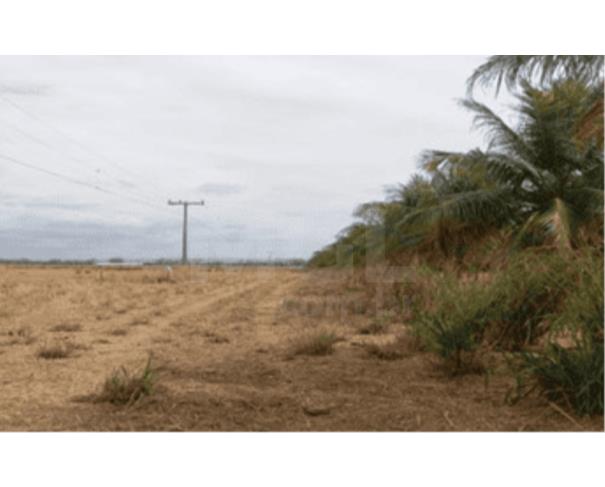 Foto de MUQUÉM DO SÃO FRANCISCO/BA – Fazenda com a área de 225,1618ha, denominada Fazenda Santa Rosa