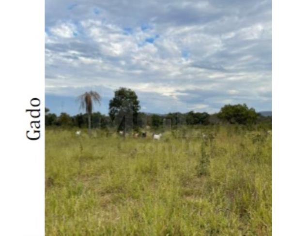 Foto de ARINOS/MG-TERRENO NA FAZENDA BOI PRETO OU ALEGRE 