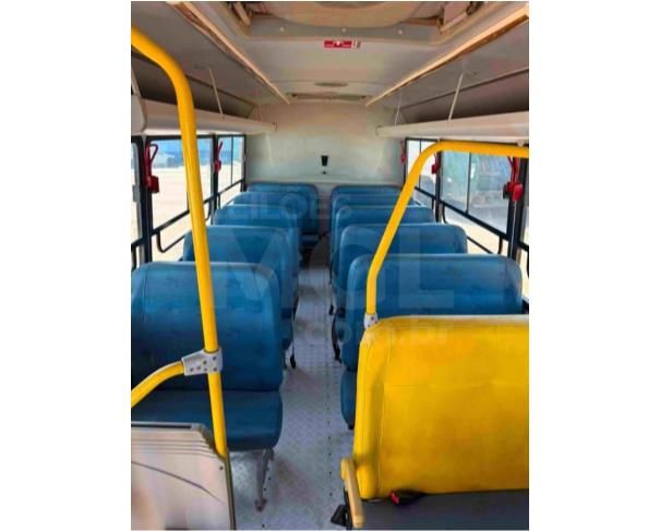 Foto de IBITURUNA/MG - Ônibus Iveco/Cityclass 70c17, 2013/2013, DIESEL 