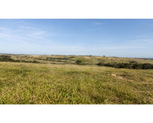 Foto de LUZ/MG – Fazenda Noruega com a área de 45,84,05ha no distrito de Esteios