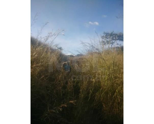Foto de BRASILÂNDIA DE MINAS/MG — Fazenda Cachoeira 303.13.28 hectares (3.031.300m²) 