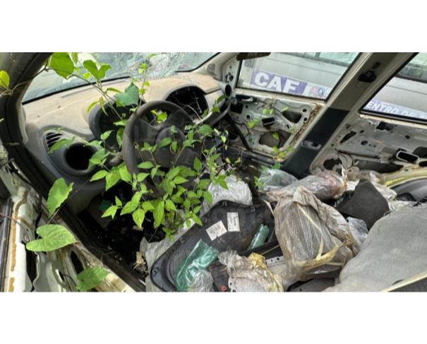 Foto de VALENÇA/BA - Carro Fiat Uno
